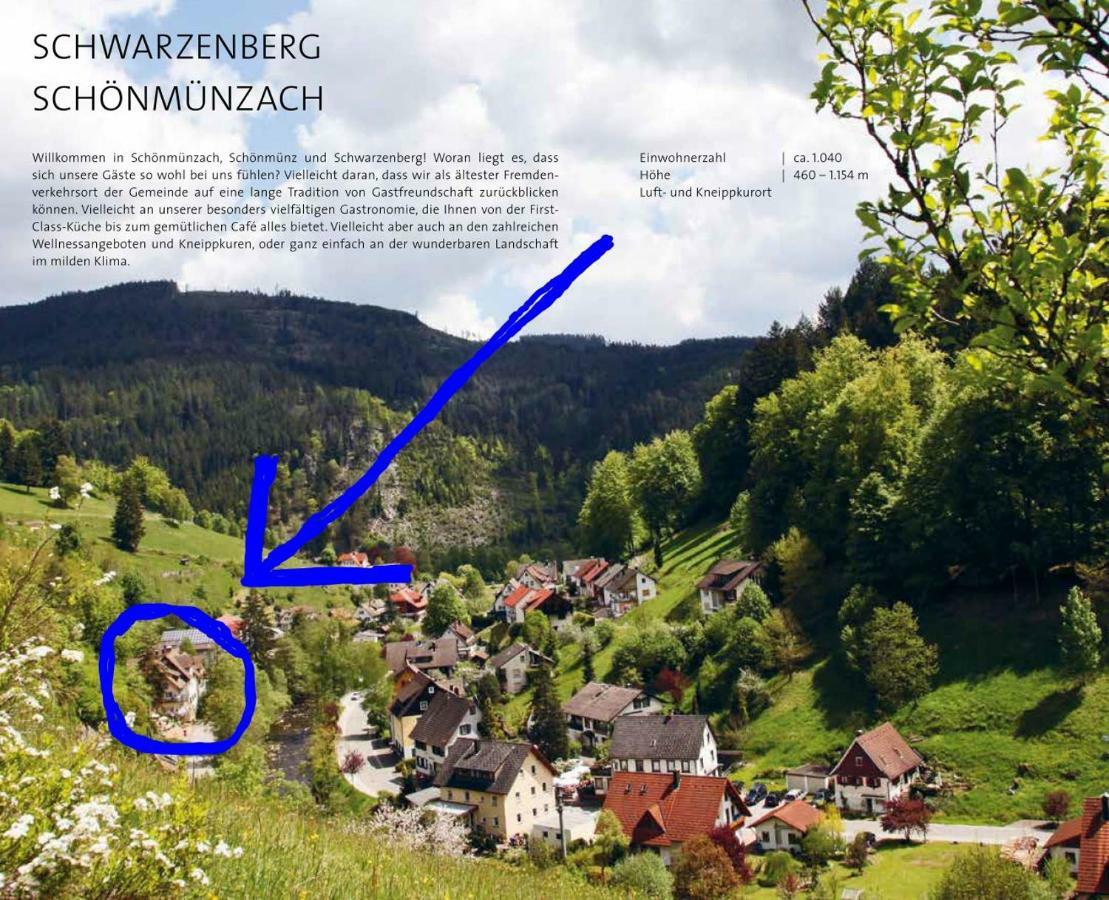 Adieu Alltag: Pension Oesterle Im Schwarzwald Schonmunzach Экстерьер фото