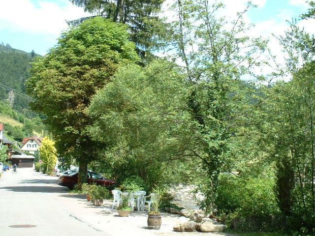Adieu Alltag: Pension Oesterle Im Schwarzwald Schonmunzach Экстерьер фото