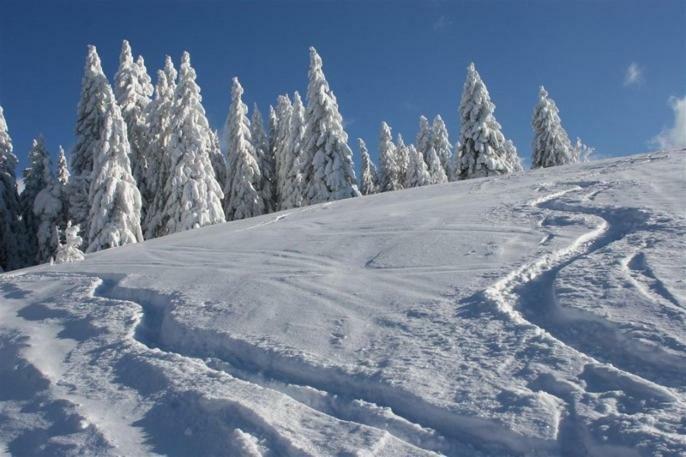 Adieu Alltag: Pension Oesterle Im Schwarzwald Schonmunzach Экстерьер фото