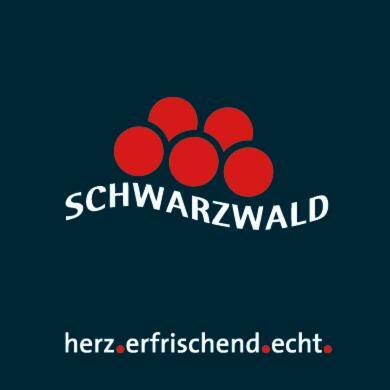Adieu Alltag: Pension Oesterle Im Schwarzwald Schonmunzach Экстерьер фото